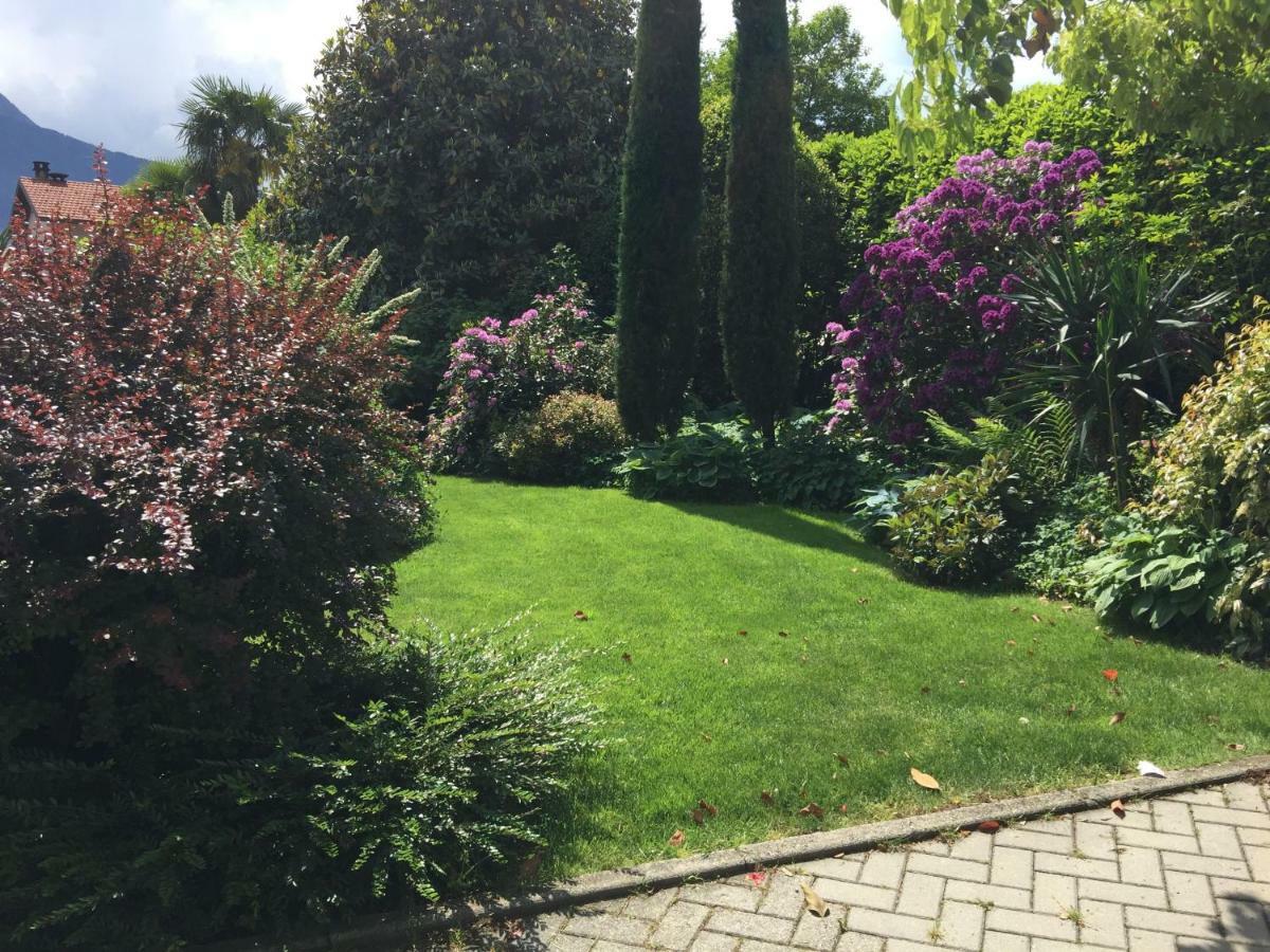 Iris 2 Lago Di Como Dongo Exterior foto